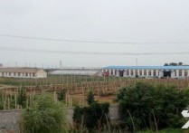 大连金州华家屯华家450㎡独门独院层高5米厂房出售｜，首层5米层高