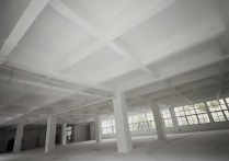 （热门）合肥1380平框架一楼4个大门 4.6米挑高适合轻工电子仓储行业合厂房出租单层 - 园区产业