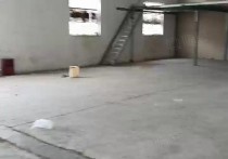 （热门）吴泾单层产业园无公摊150，380，260，600，450，仓库招租