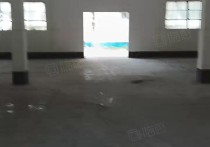 100，（热门）颛桥独栋小面积50，200，400，600，800，仓库转让